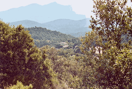 View from Ceret house image